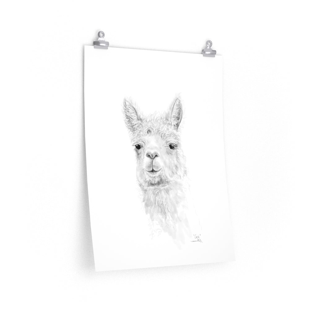 CARI Llama- Art Paper Print