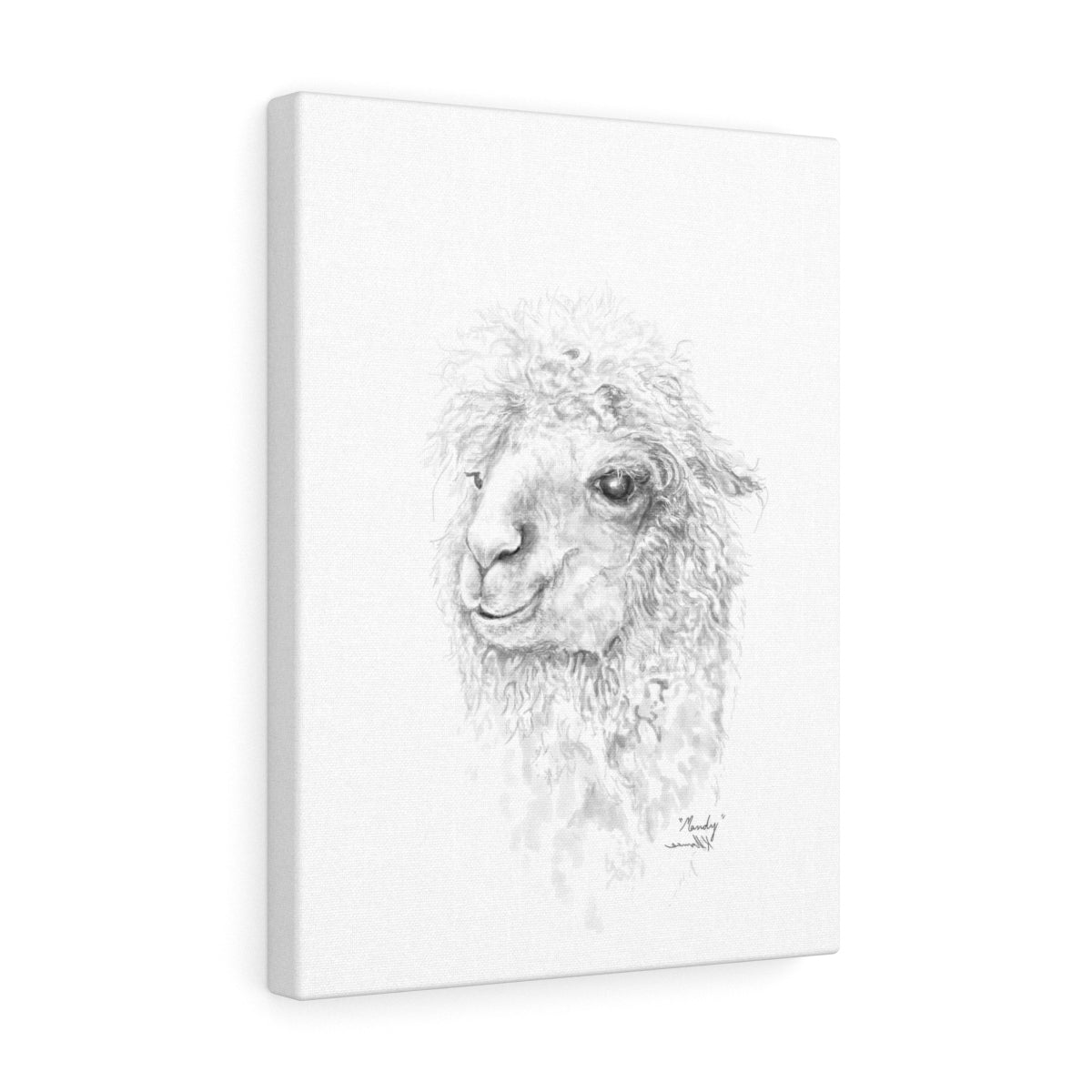 Mandy Llama - Art Canvas