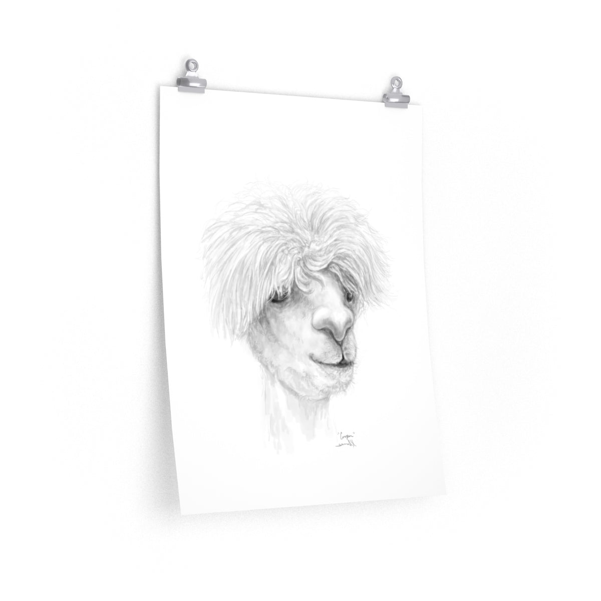 COOPER Llama- Art Paper Print