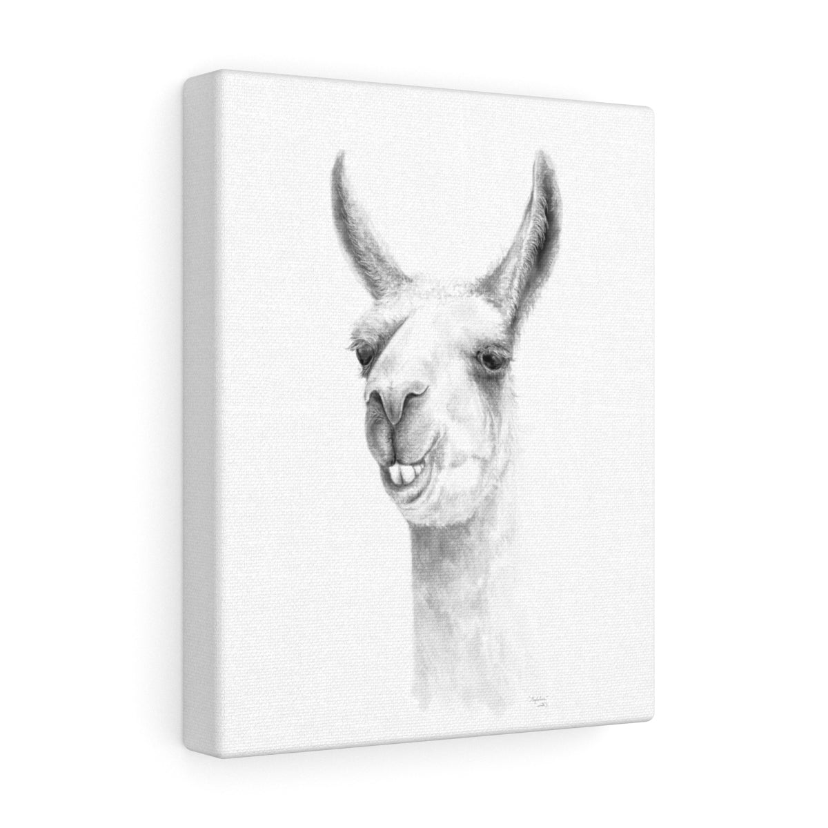 Magdalena Llama - Art Canvas