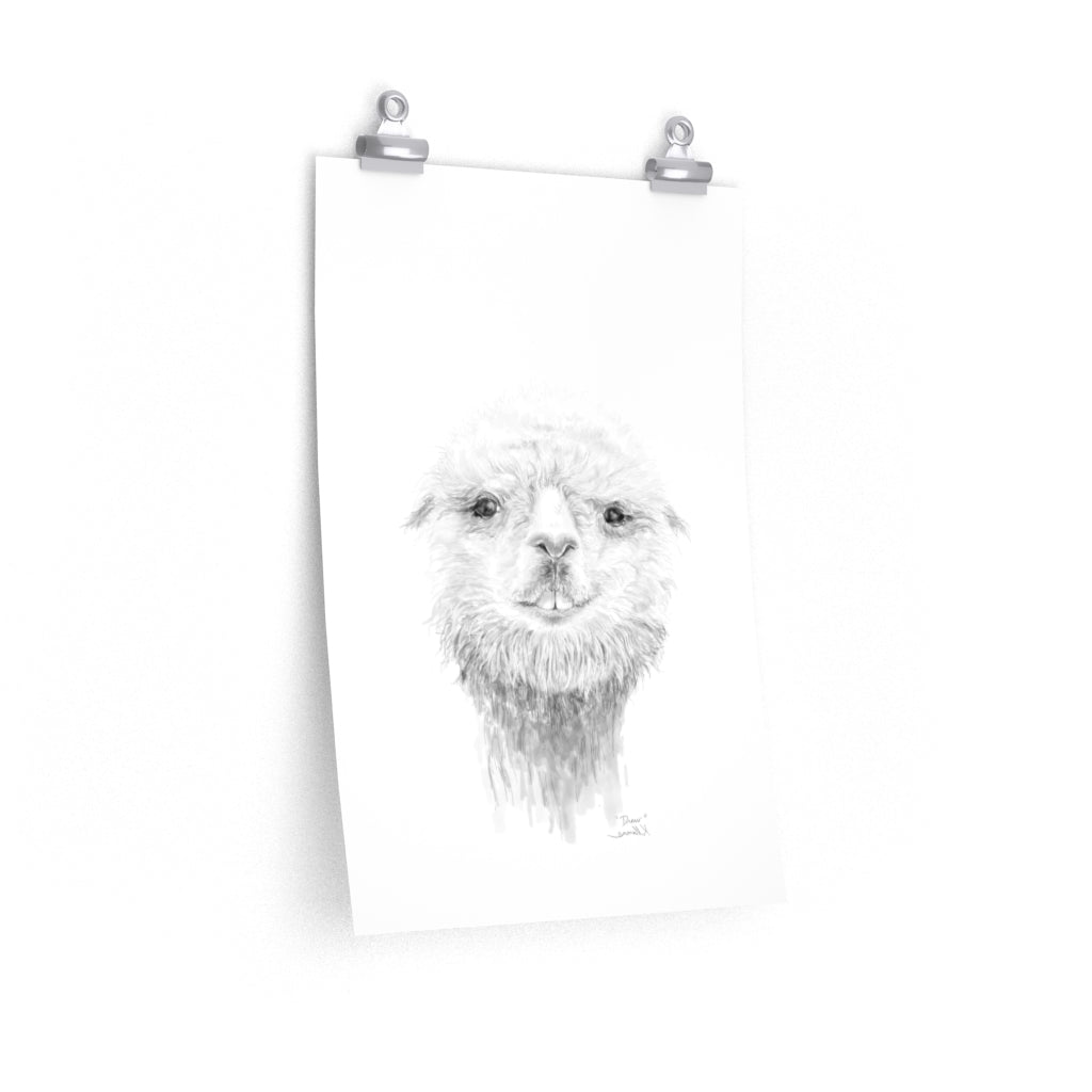 DREW Llama- Art Paper Print