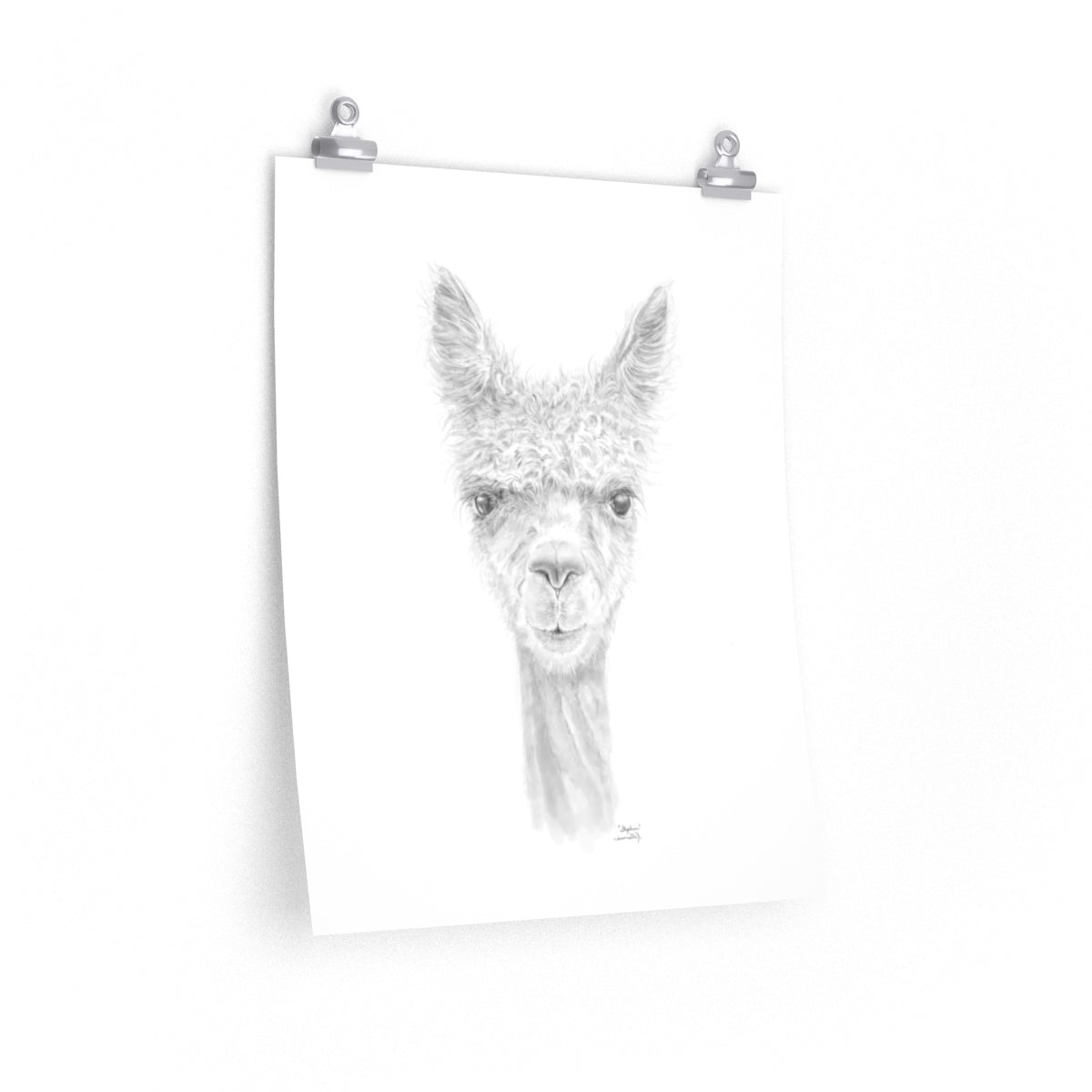 STEPHEN Llama- Art Paper Print