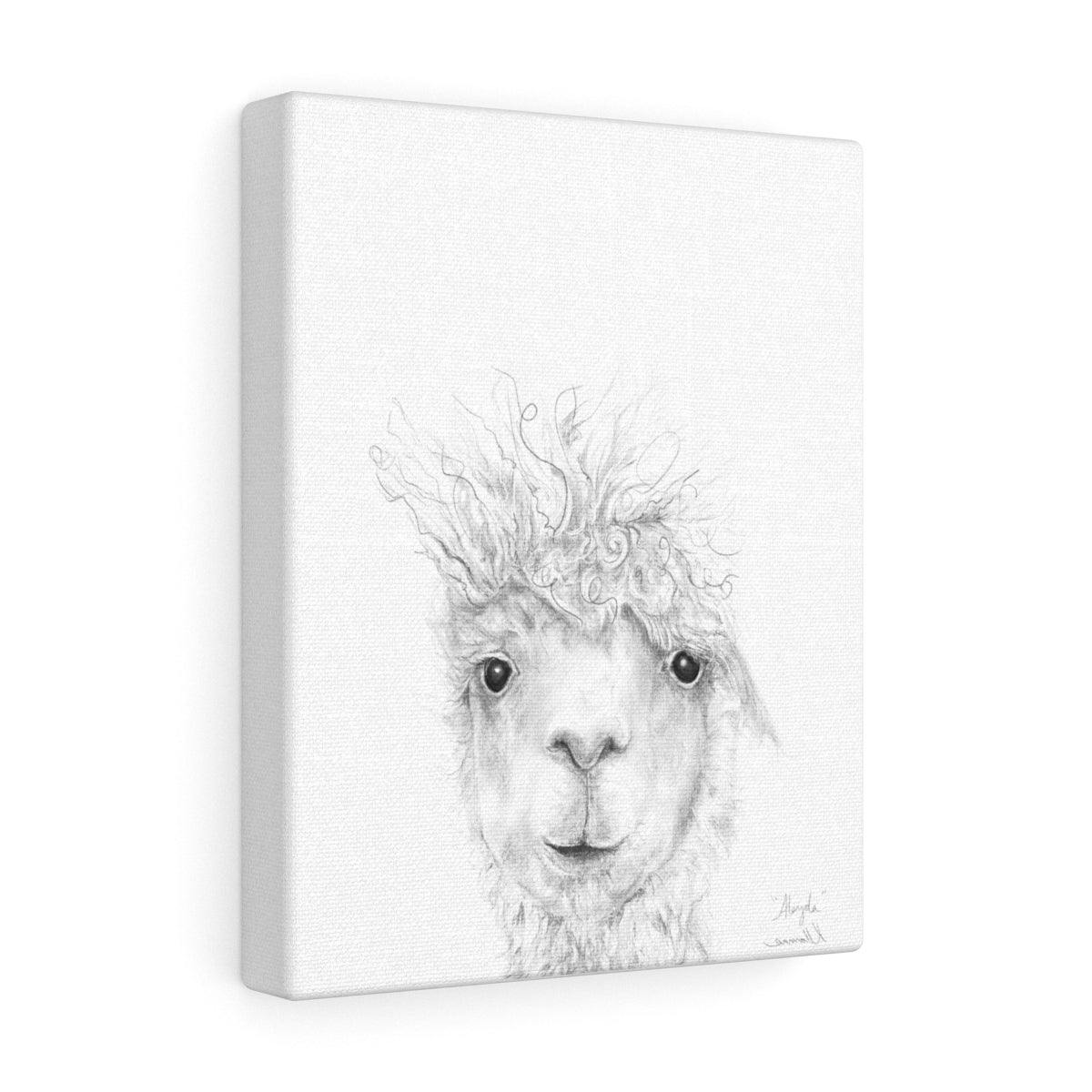 ALEYDA Llama - Art Canvas