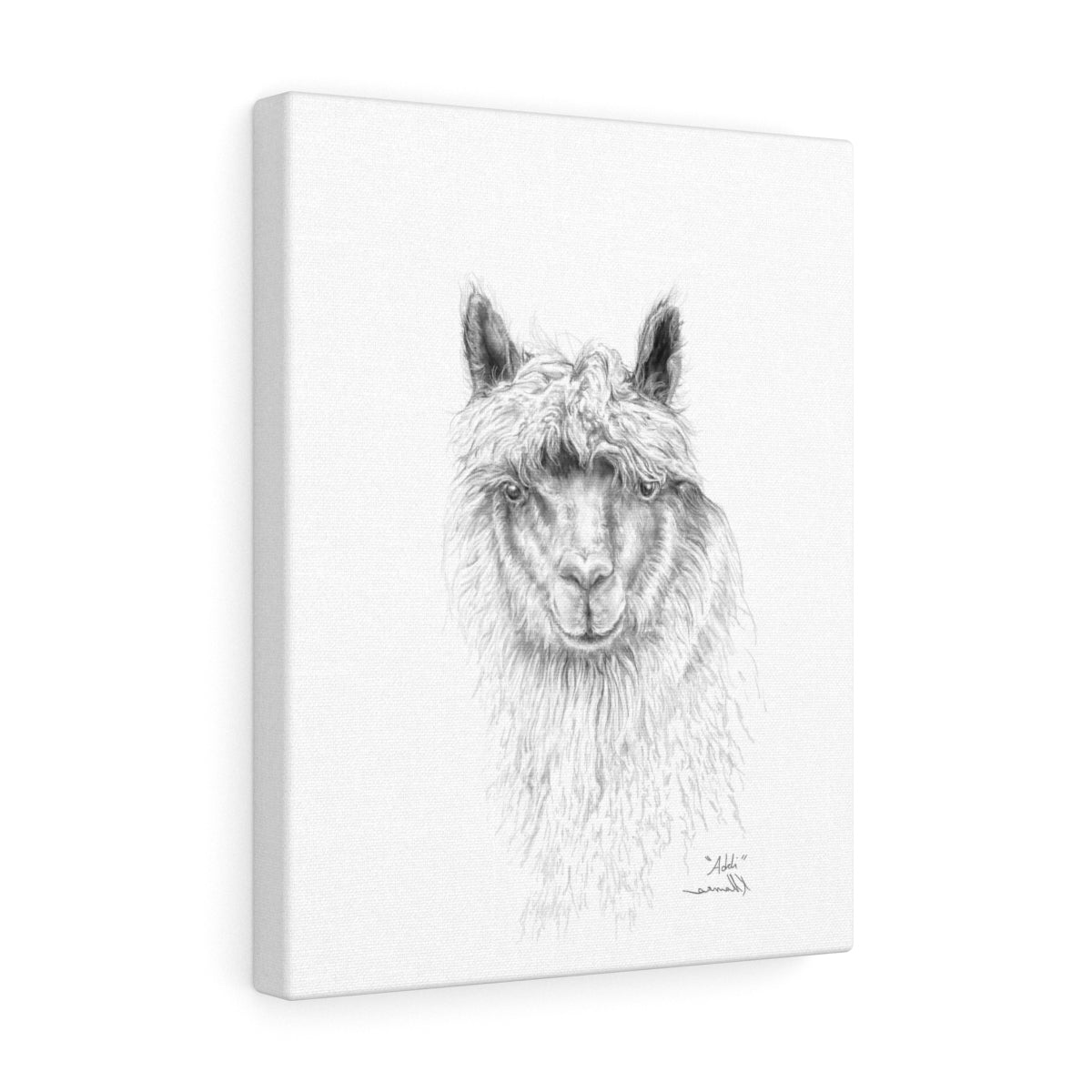 ADDI Llama- Art Canvas