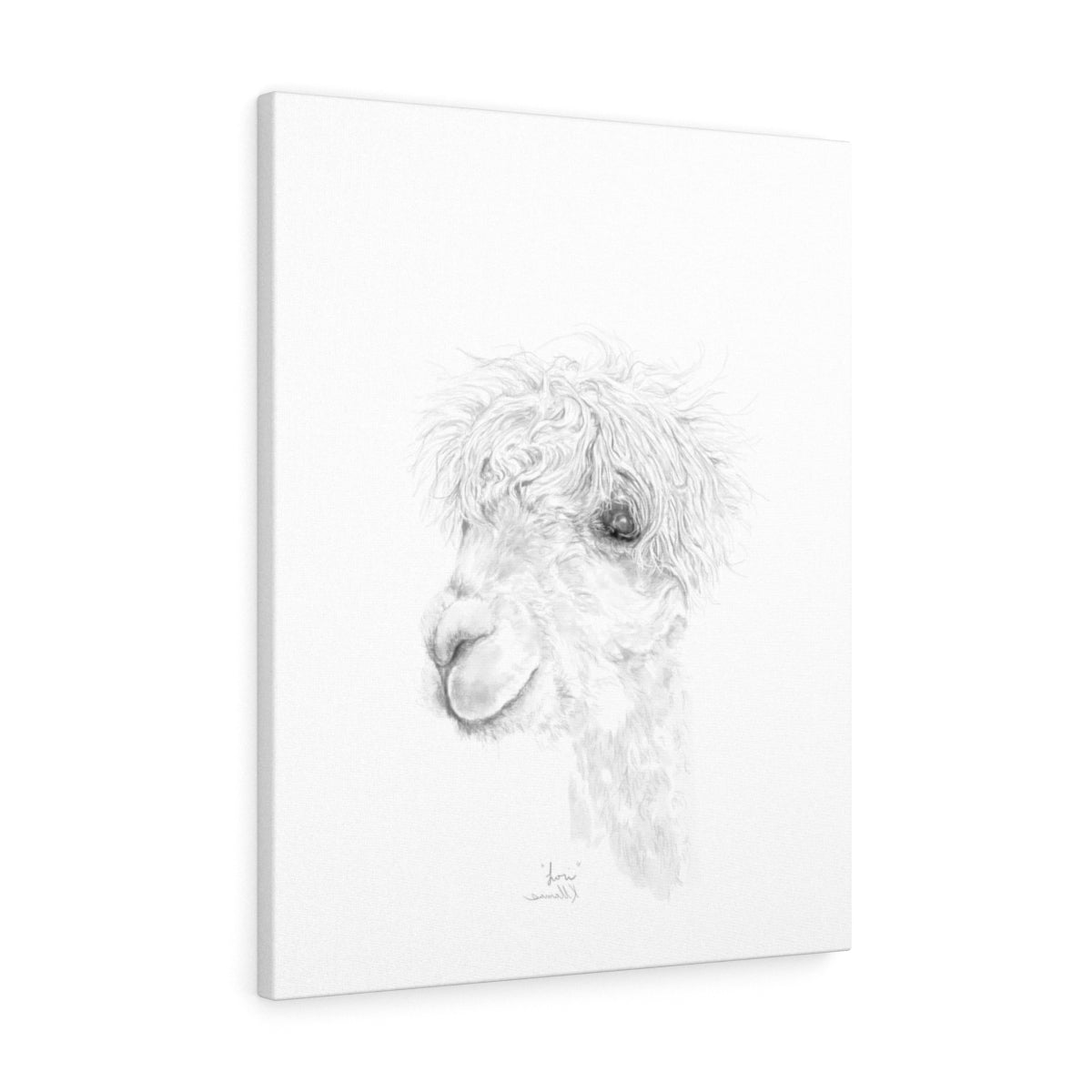 LORI Llama - Art Canvas