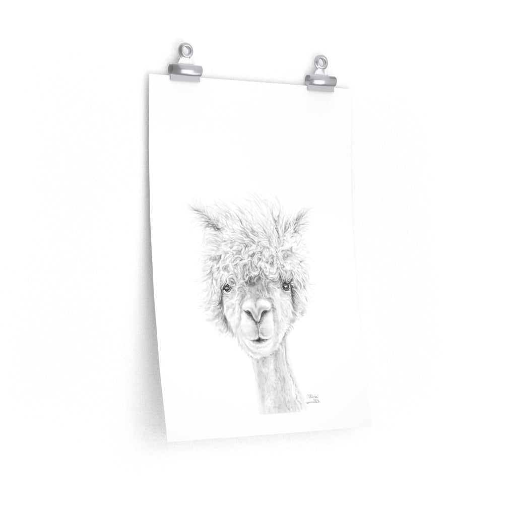 OLIVIA Llama- Art Paper Print