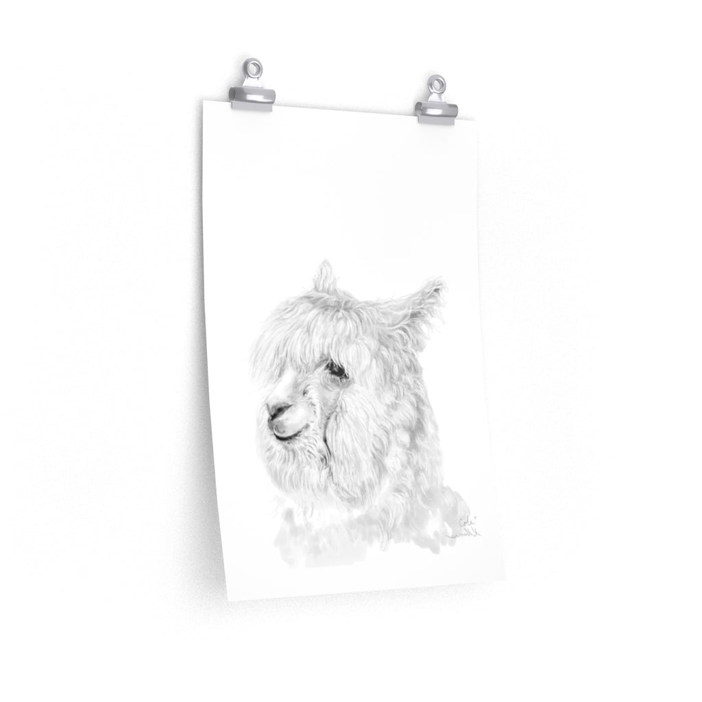 COLE Llama- Art Paper Print