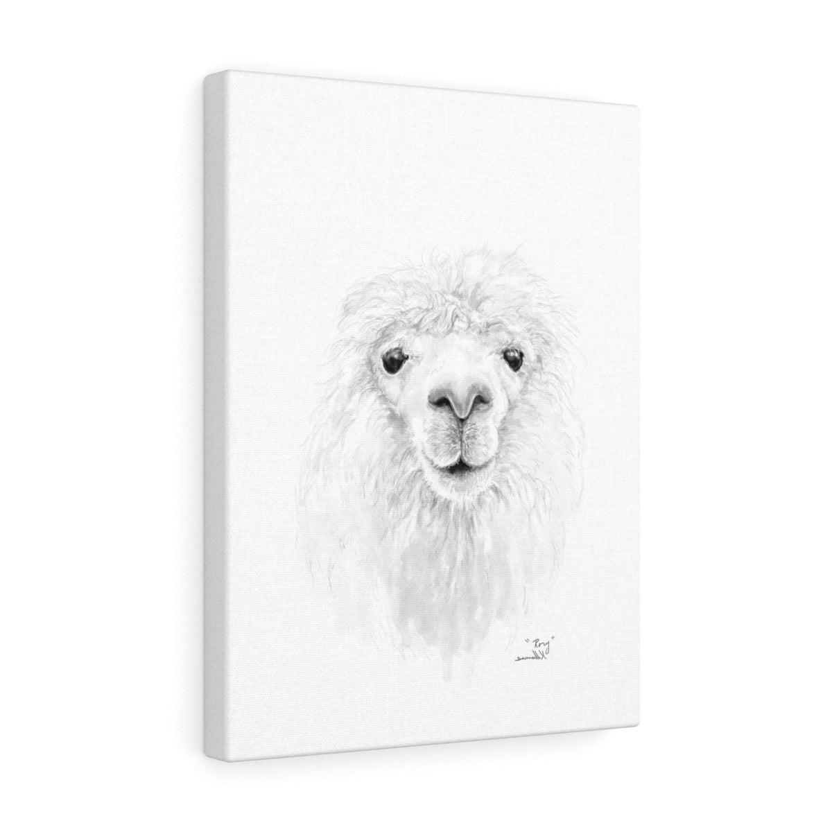 RORY Llama - Art Canvas