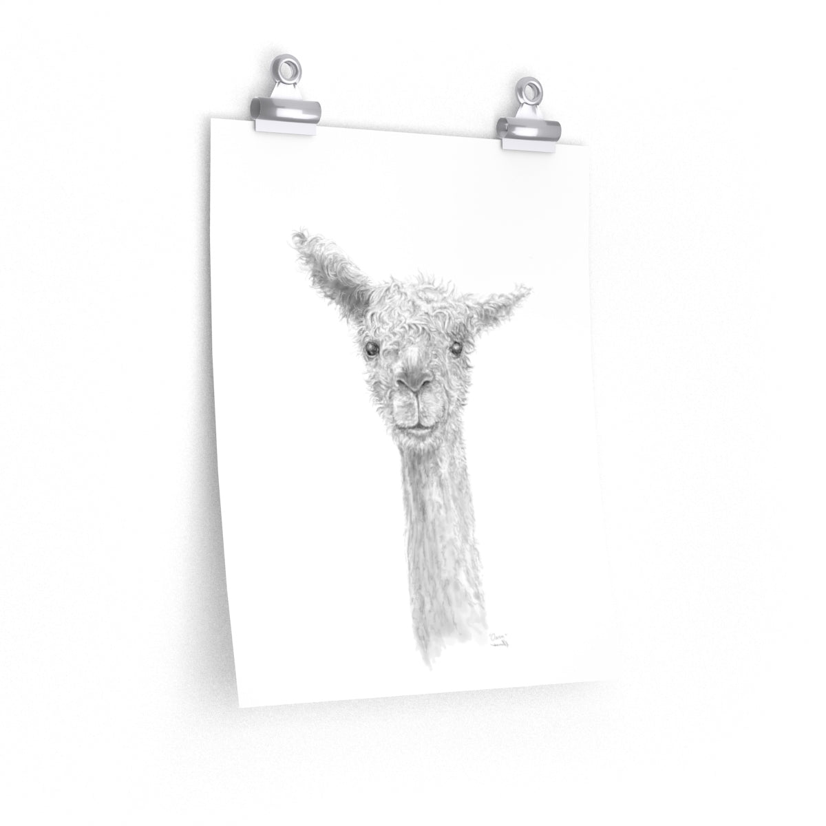 OWEN Llama- Art Paper Print