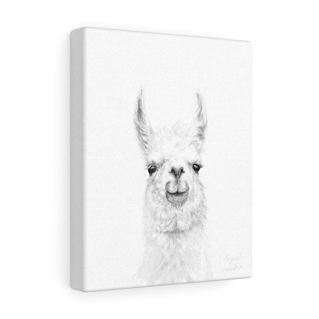 MAGNUS Llama - Art Canvas