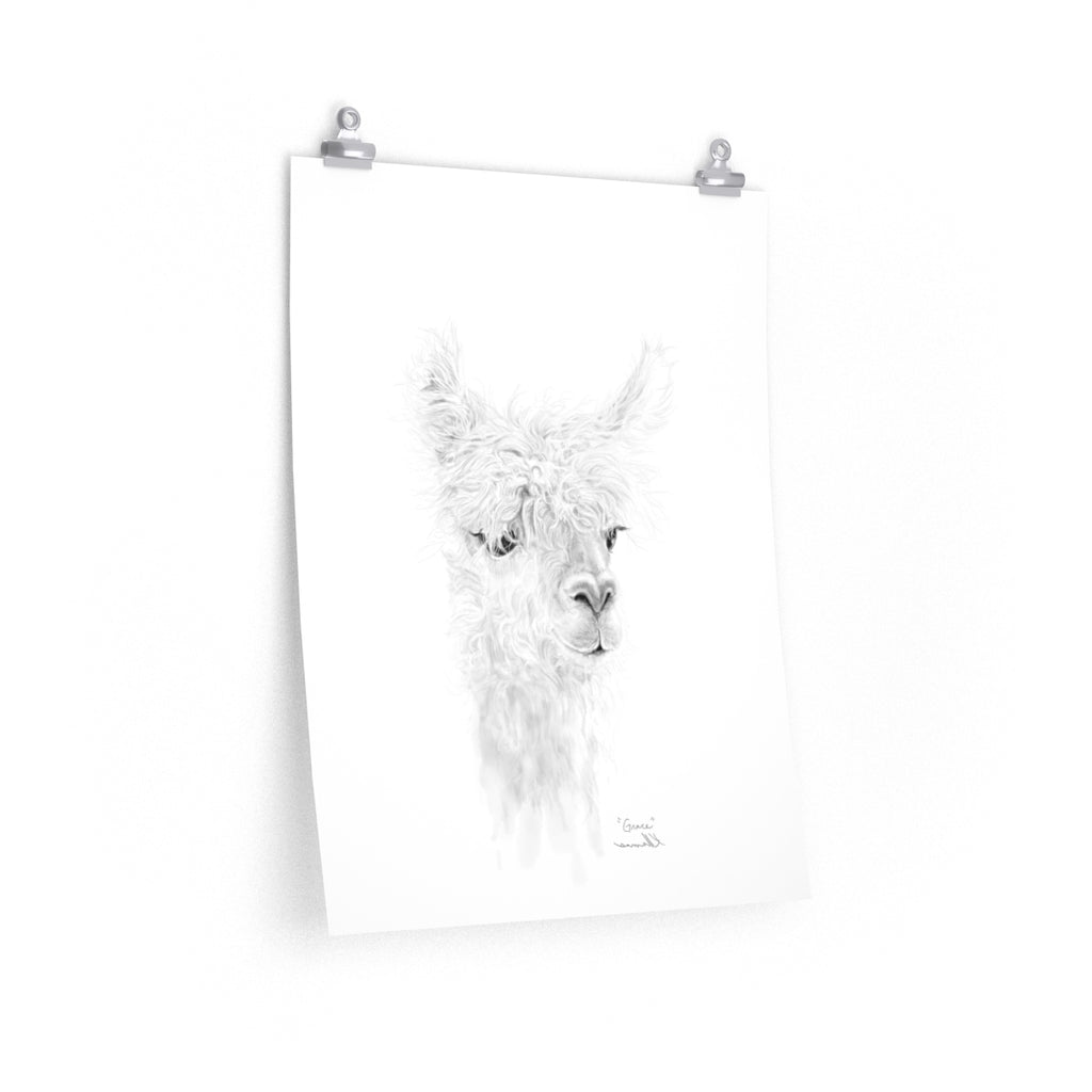 GRACE Llama- Art Paper Print