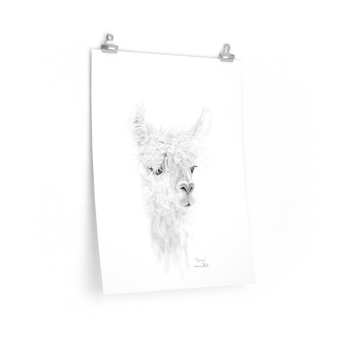 GRACE Llama- Art Paper Print