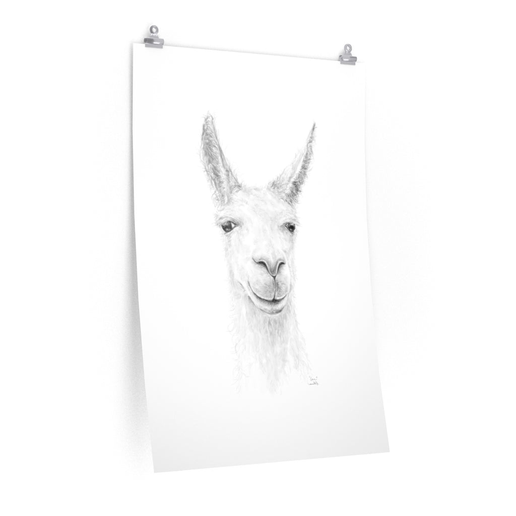 IAN Llama- Art Paper Print