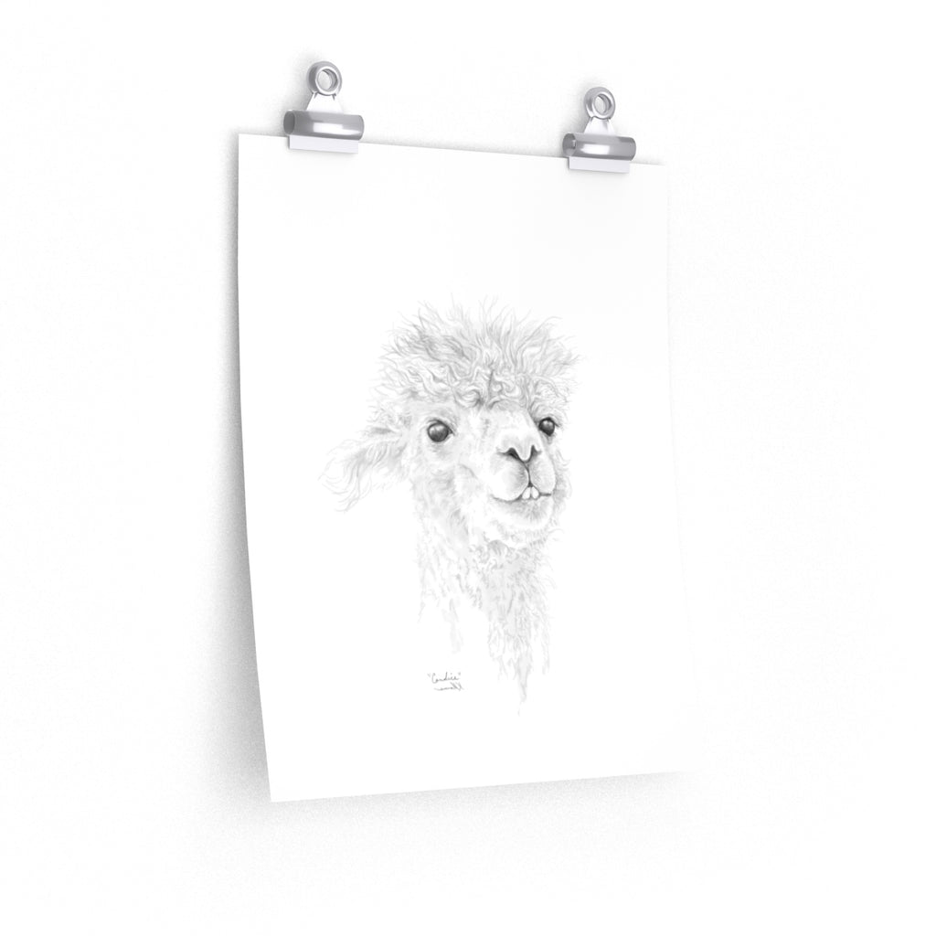 CANDICE Llama- Art Paper Print