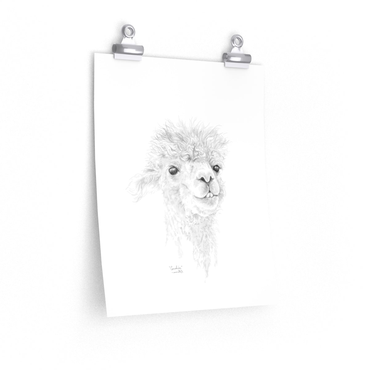 CANDICE Llama- Art Paper Print