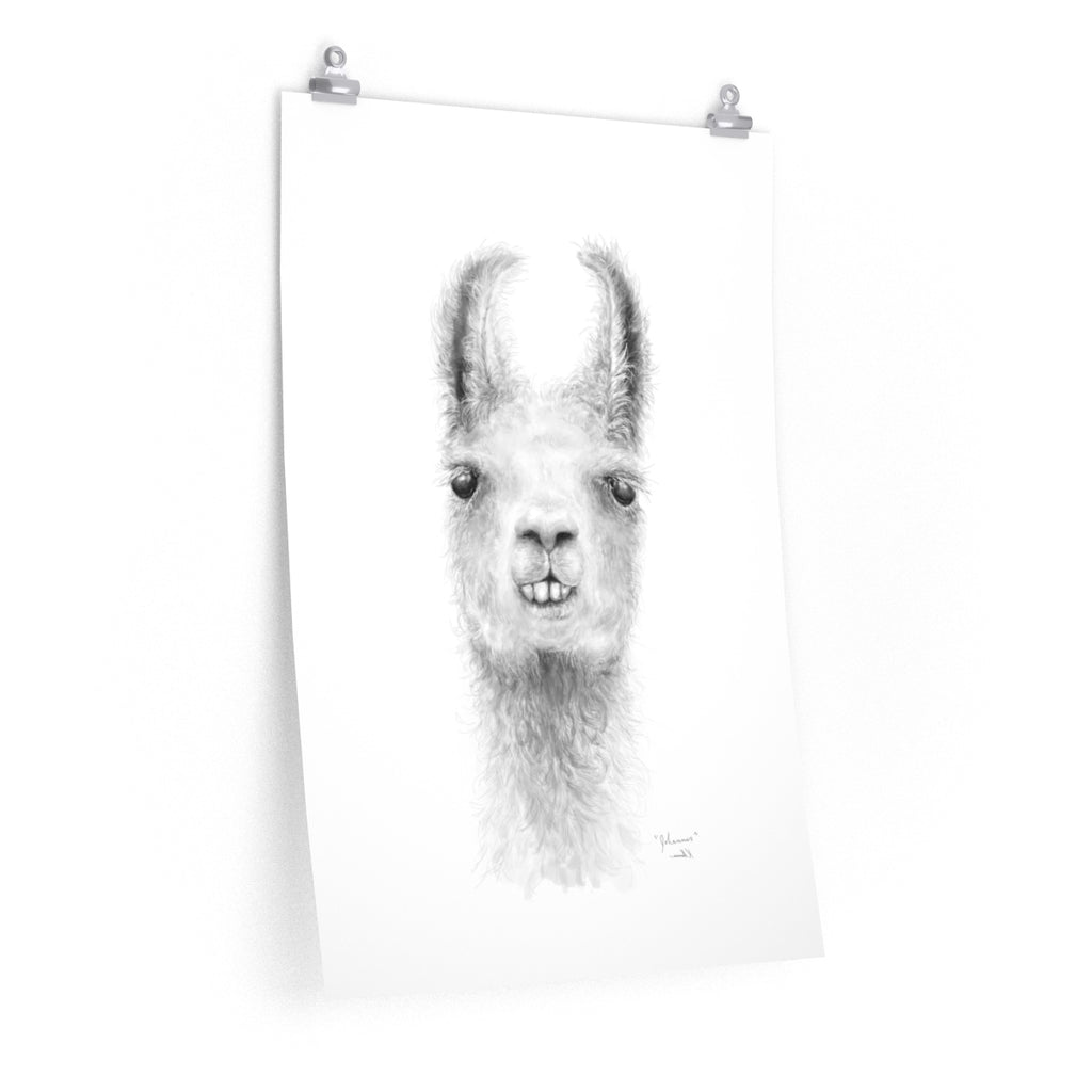 JOHANNES Llama- Art Paper Print