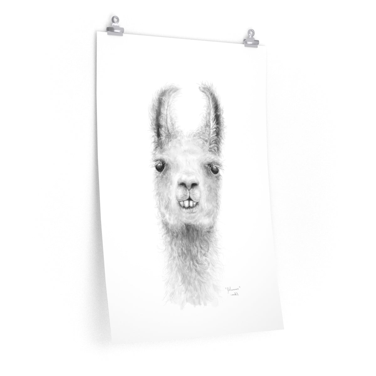 JOHANNES Llama- Art Paper Print