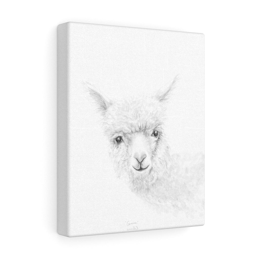 GEMMA Llama - Art Canvas