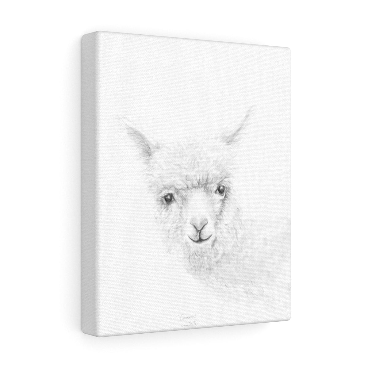 GEMMA Llama - Art Canvas