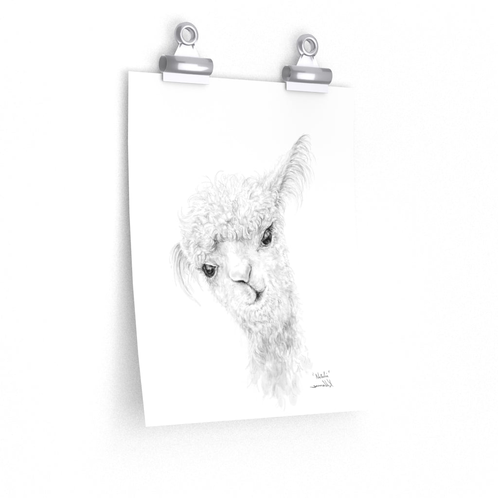 NATALIA Llama- Art Paper Print