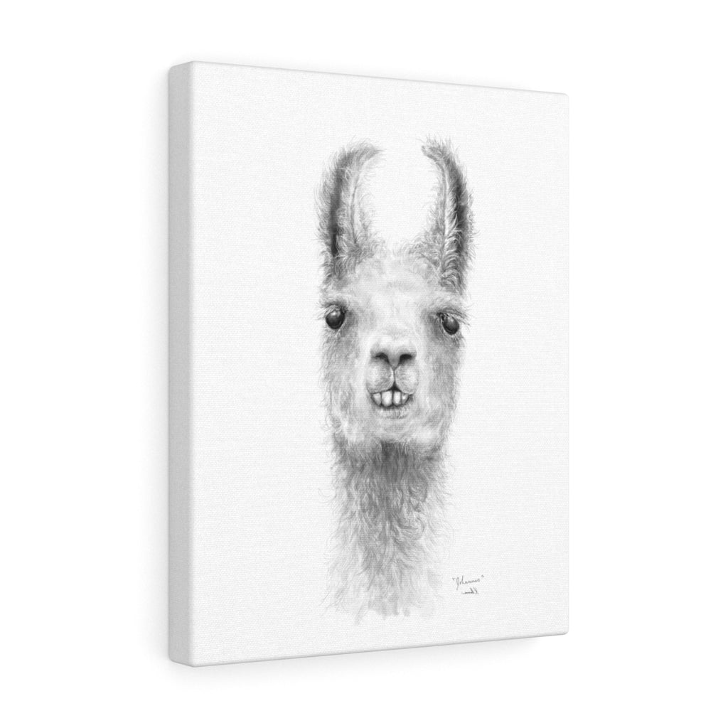 JOHANNES Llama - Art Canvas