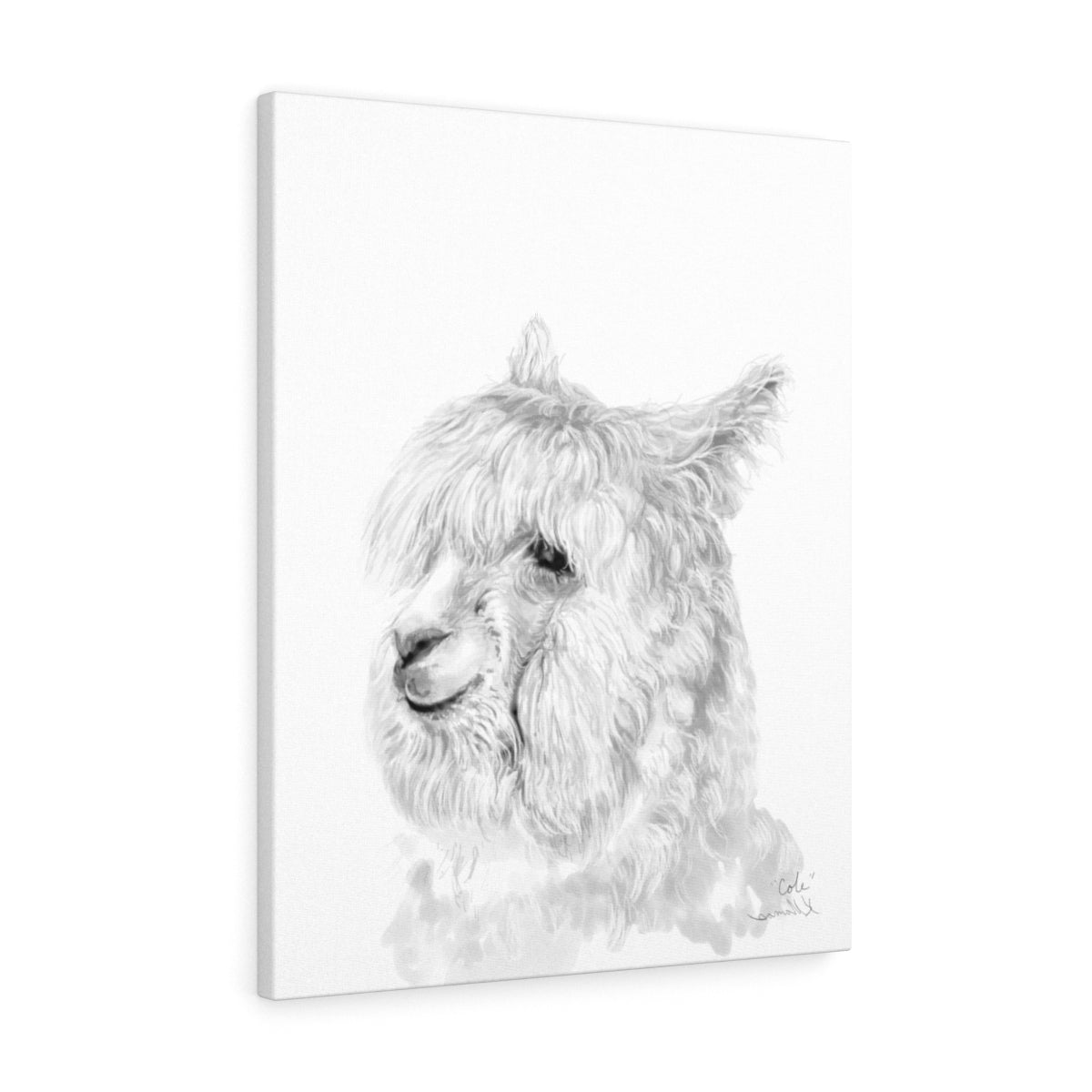 COLE Llama - Art Canvas