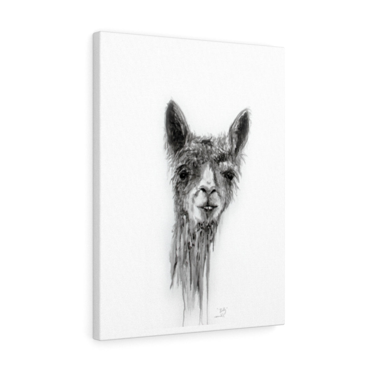 BILLY Llama - Art Canvas