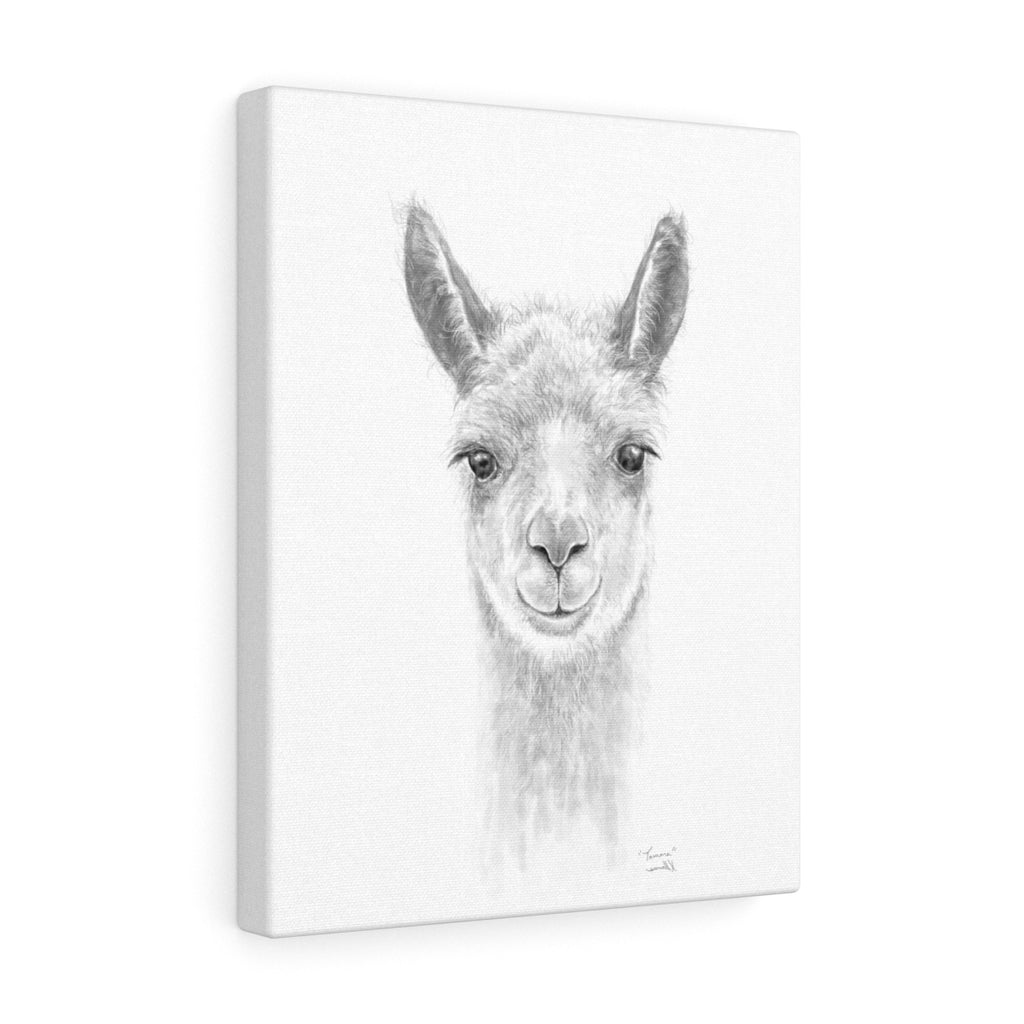 TAMARA Llama - Art Canvas