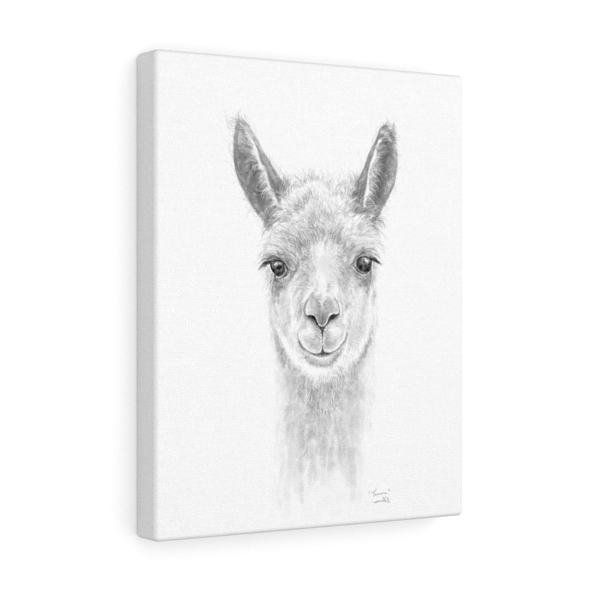 TAMARA Llama - Art Canvas