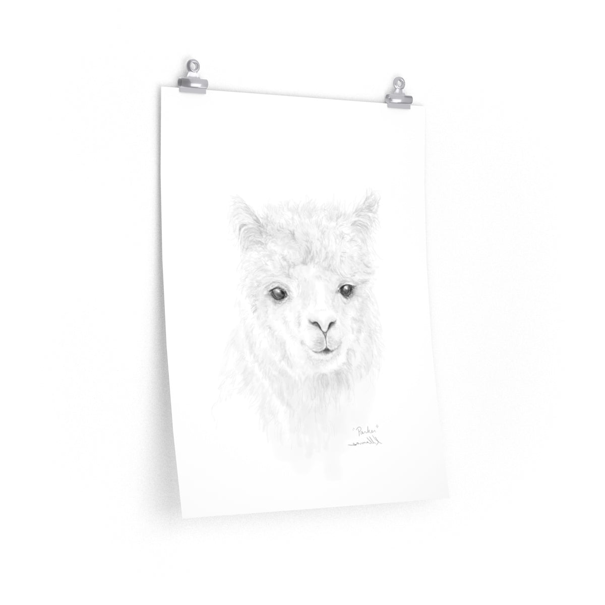PARKER Llama- Art Paper Print