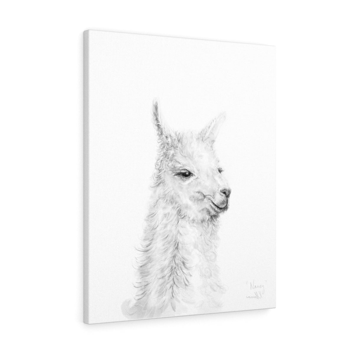 NANCY Llama - Art Canvas