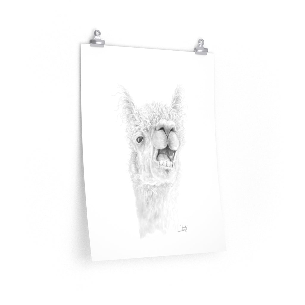 LANTY Llama- Art Paper Print