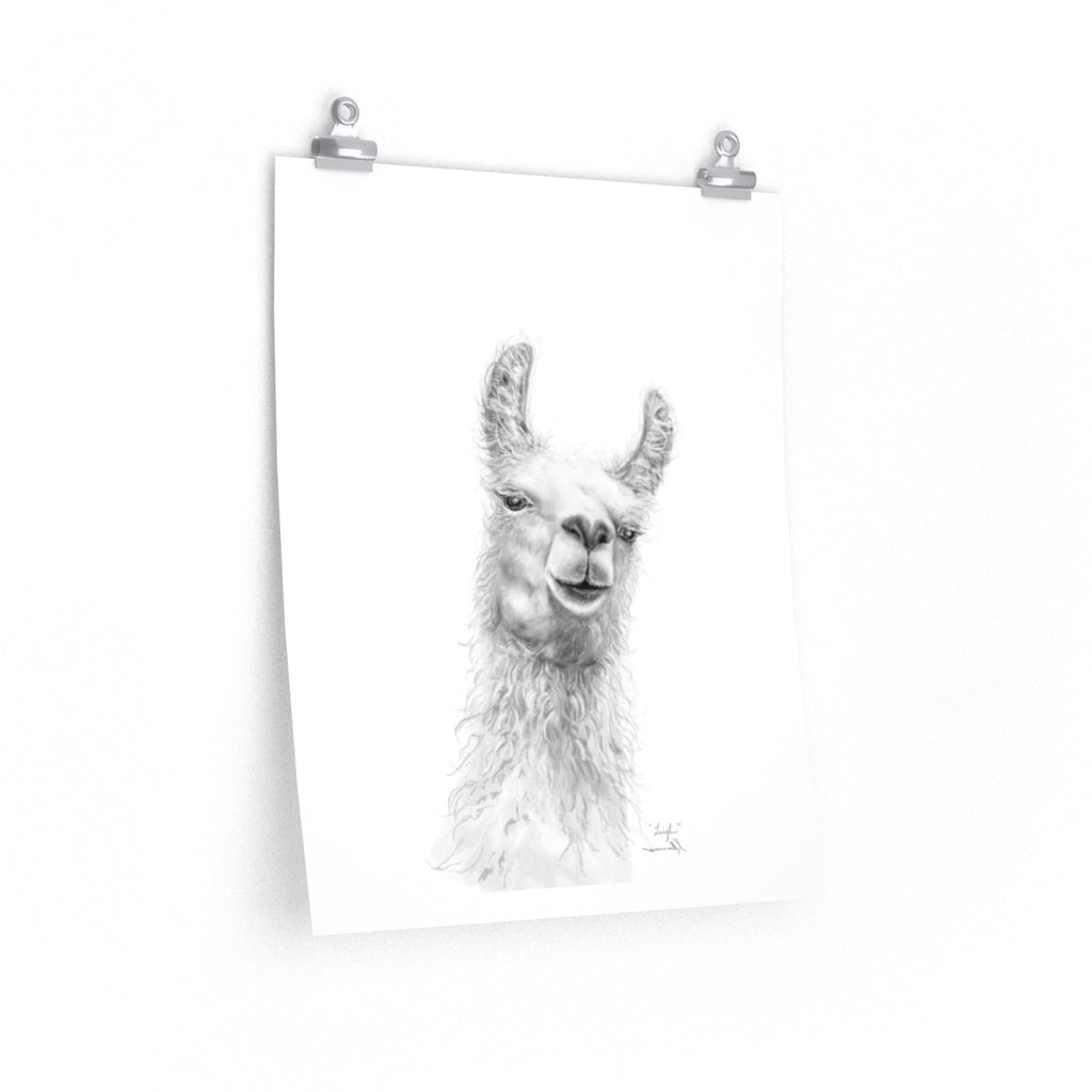 LEIGH Llama- Art Paper Print