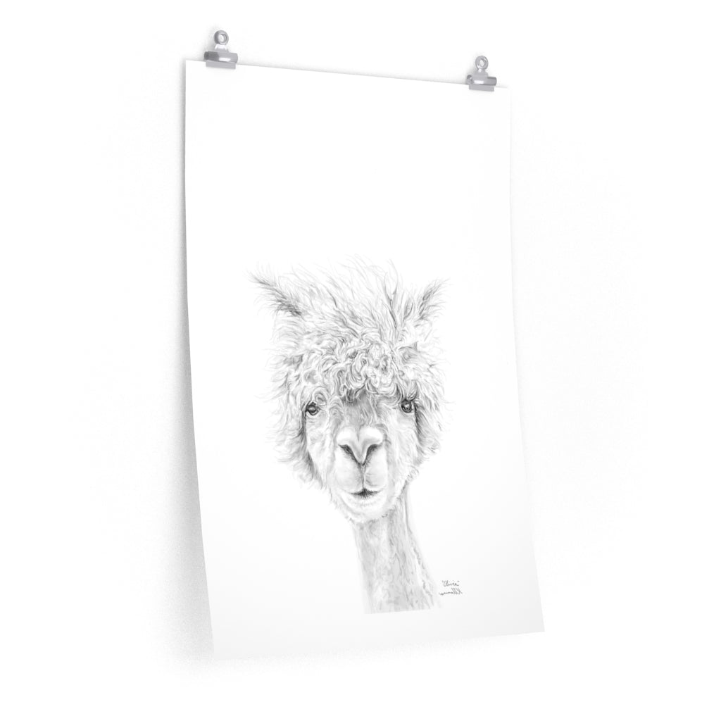 OLIVIA Llama- Art Paper Print