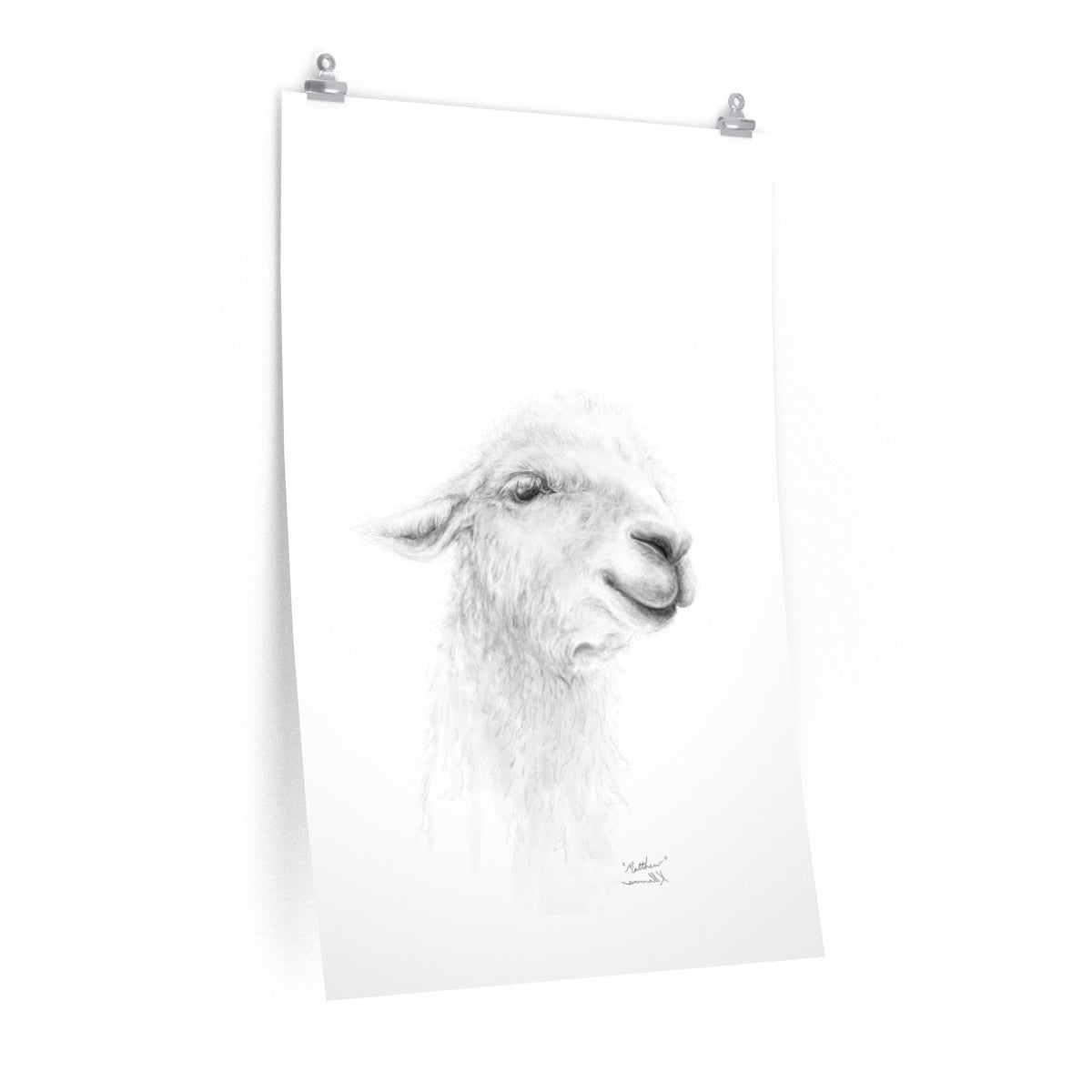 MATTHEW Llama- Art Paper Print
