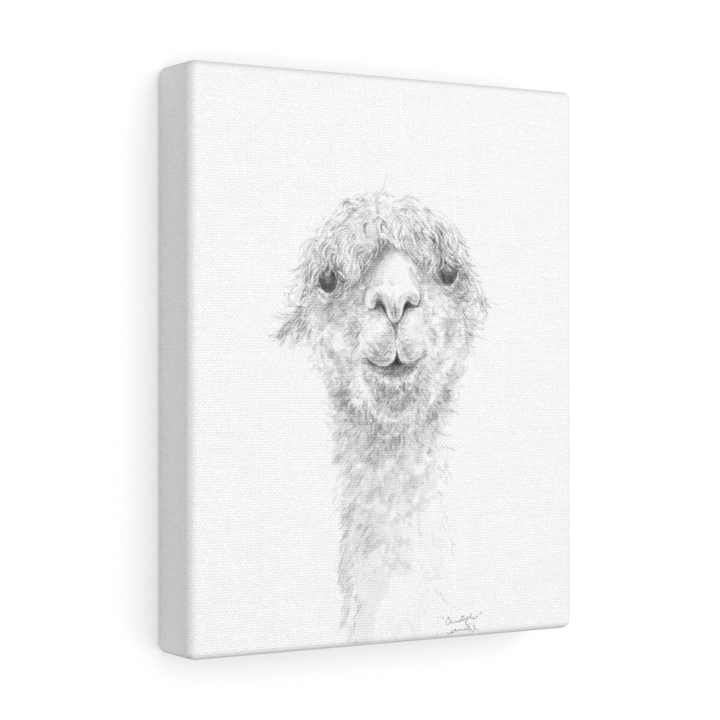 CHRISTOPHER Llama - Art Canvas