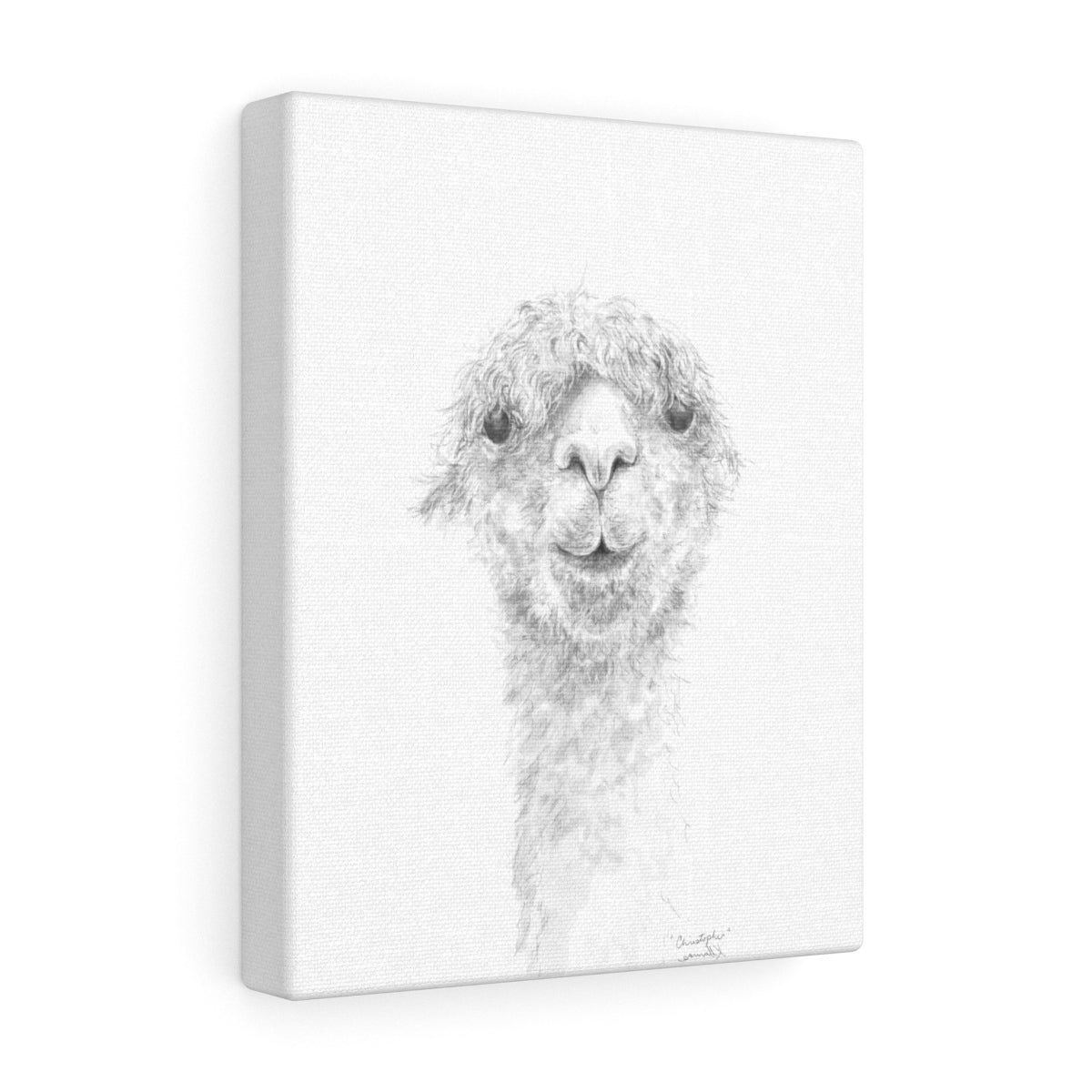 CHRISTOPHER Llama - Art Canvas