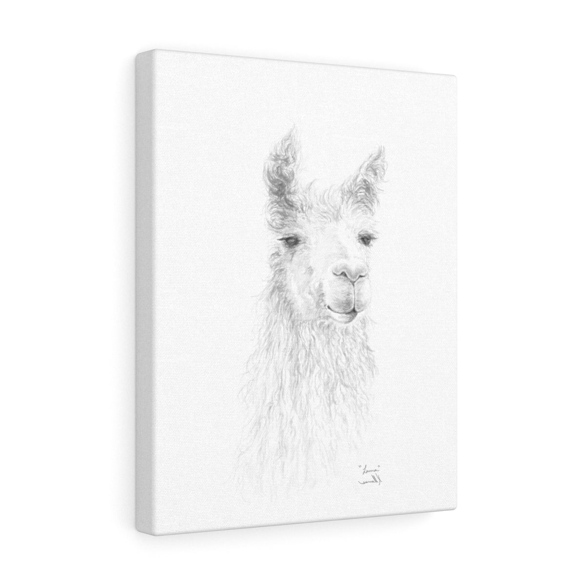 LAURA Llama - Art Canvas