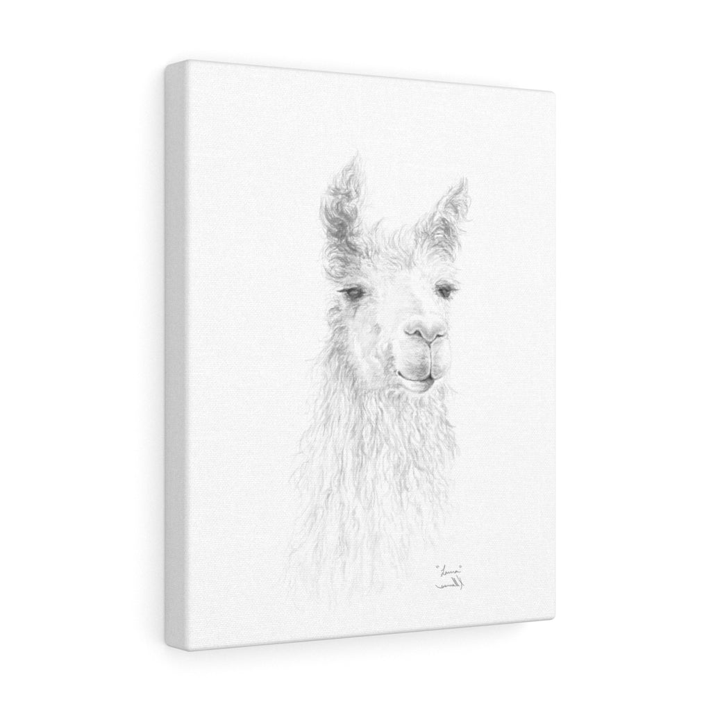 LAURA Llama - Art Canvas