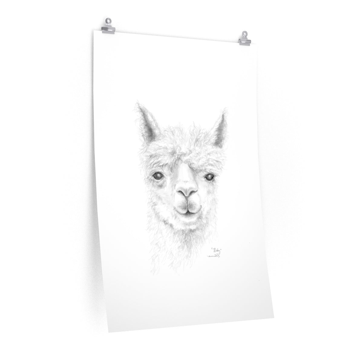 RICKY Llama- Art Paper Print