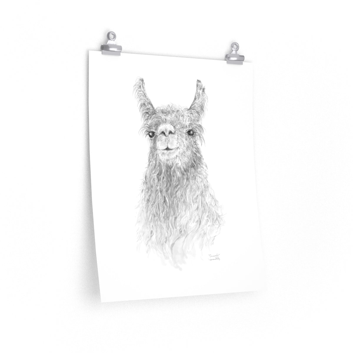 CONSWALA Llama- Art Paper Print