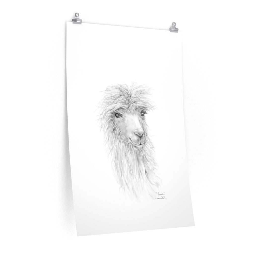 JESSICA Llama- Art Paper Print