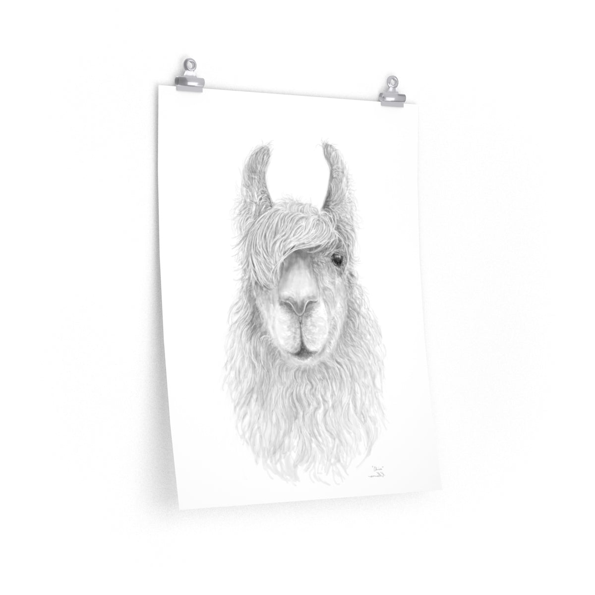 CHRIS Llama- Art Paper Print