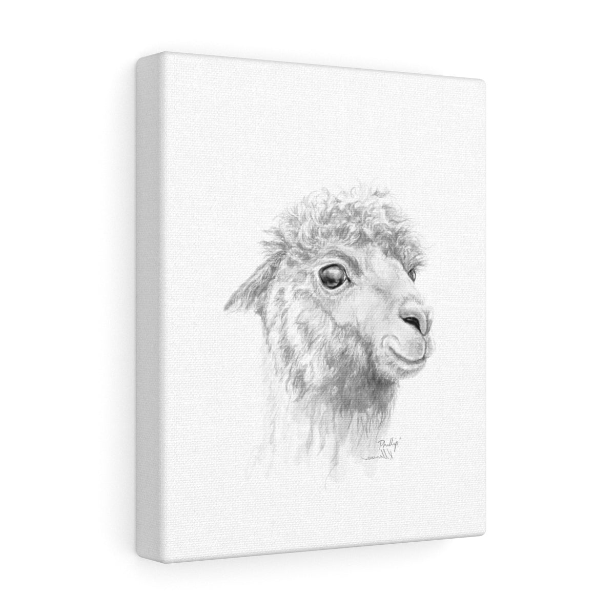 PHILLIP Llama - Art Canvas