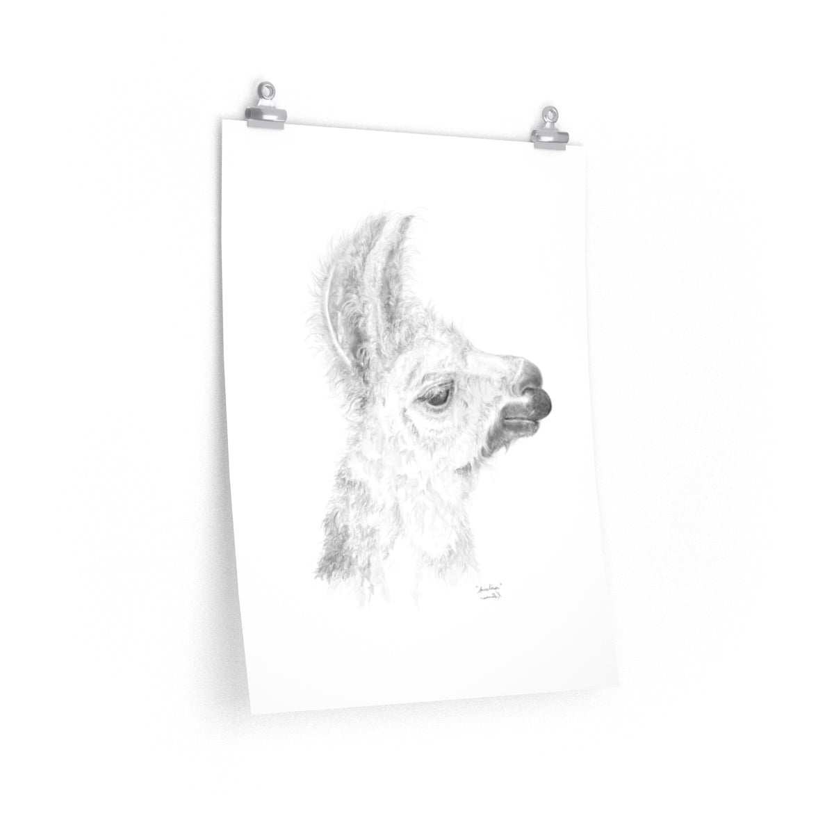 ANNELIESE Llama- Art Paper Print