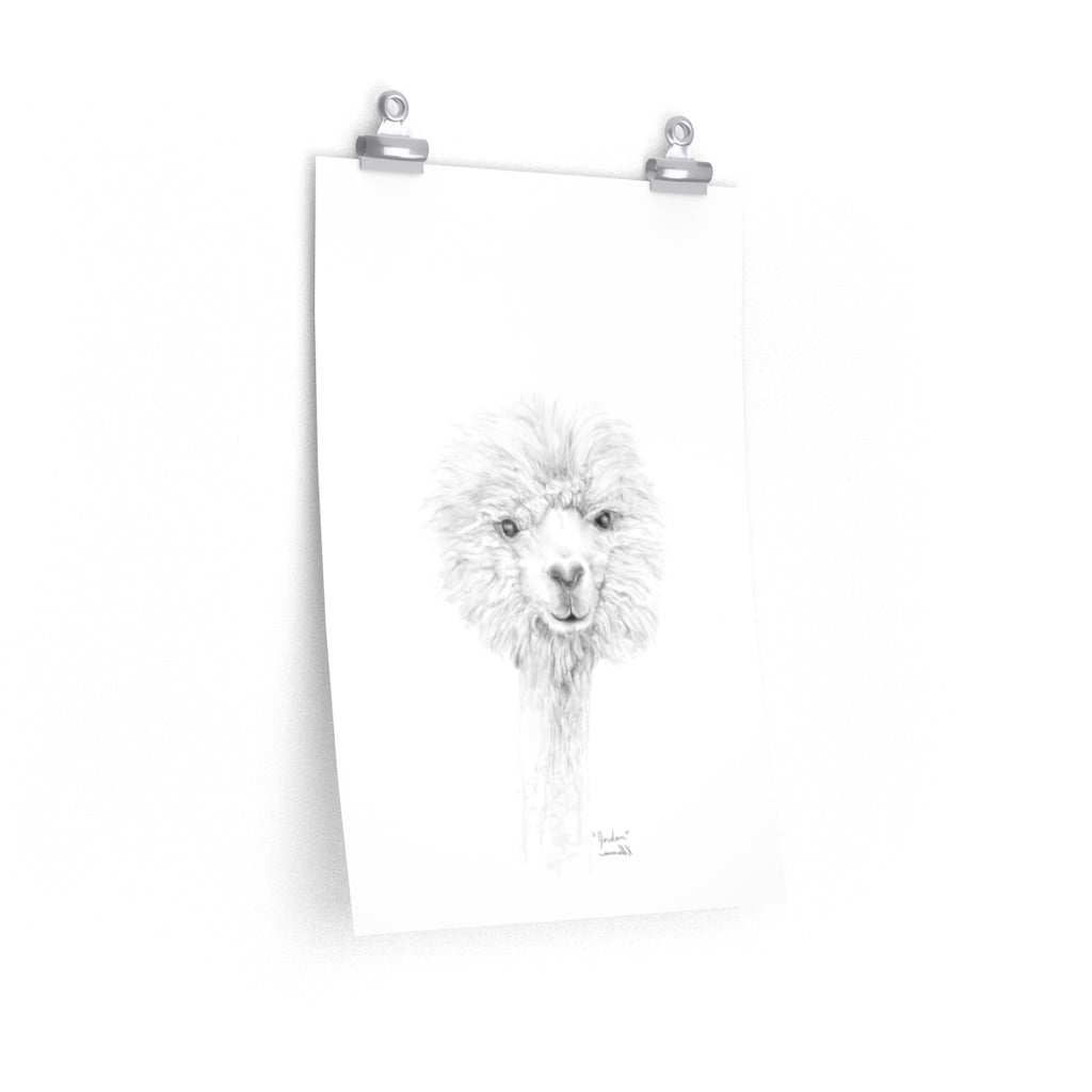JORDAN Llama- Art Paper Print