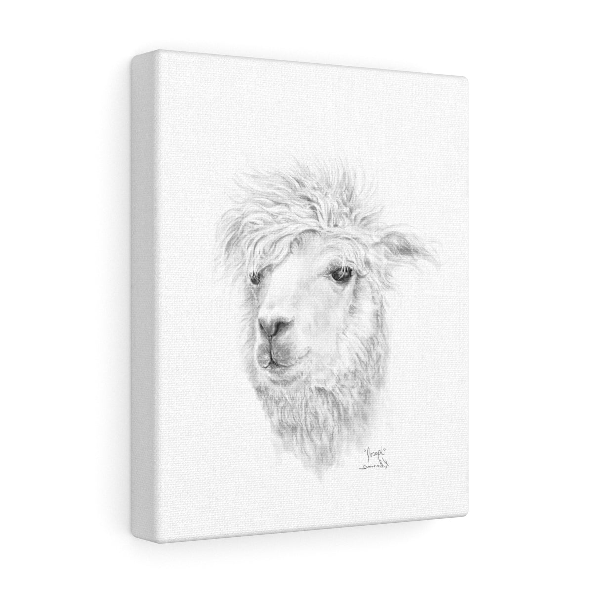 JOSEPH Llama - Art Canvas