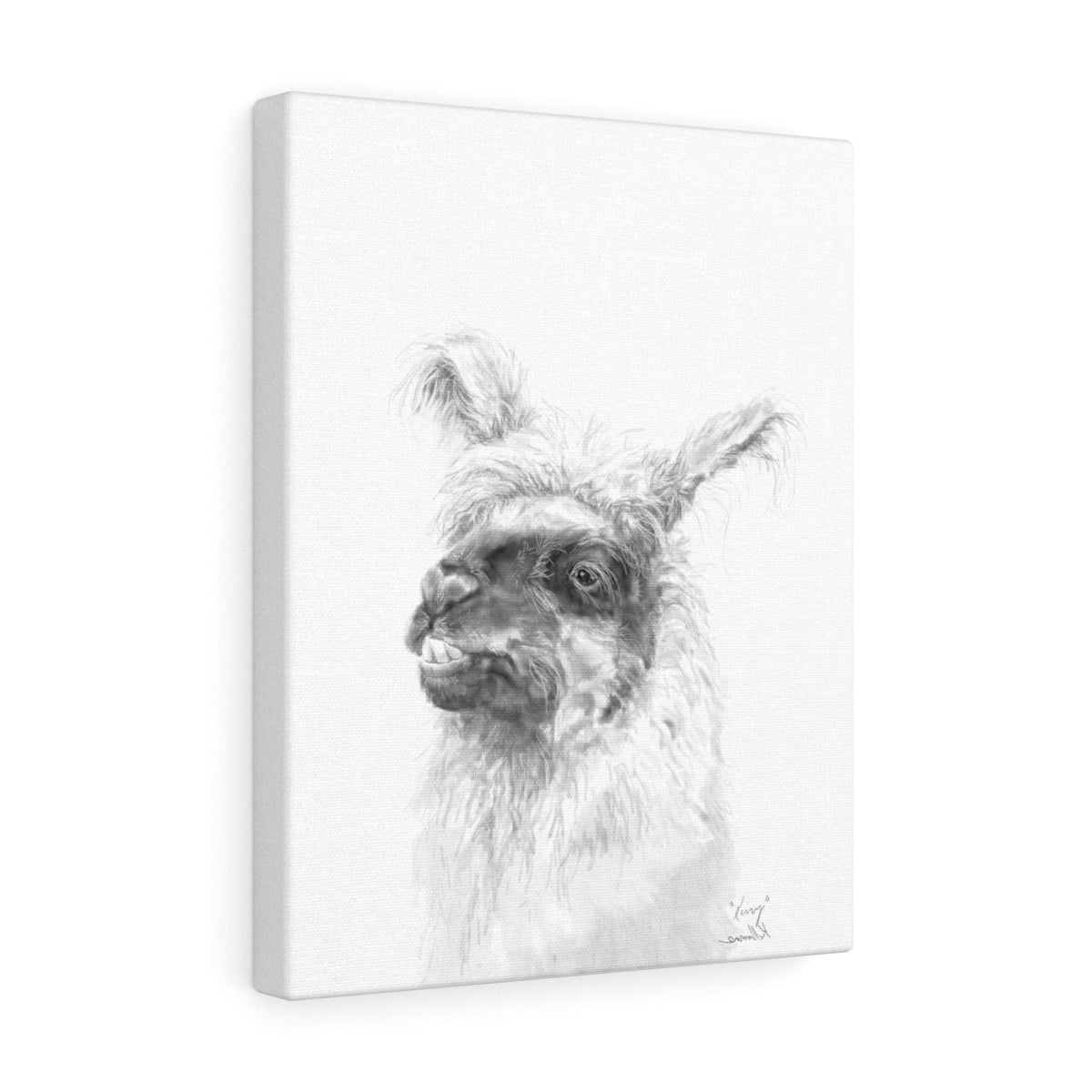 KERRY Llama - Art Canvas