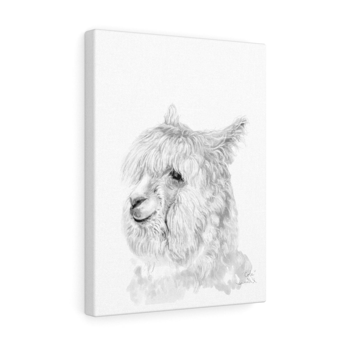 COLE Llama - Art Canvas