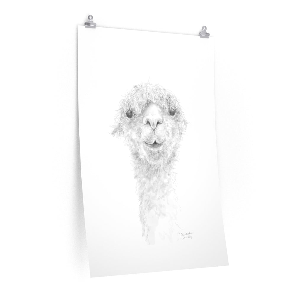 CHRISTOPHER Llama- Art Paper Print